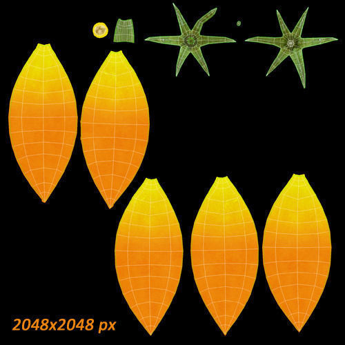 Tomatoes three 3D model_11