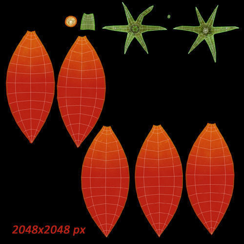 Tomatoes three 3D model_10