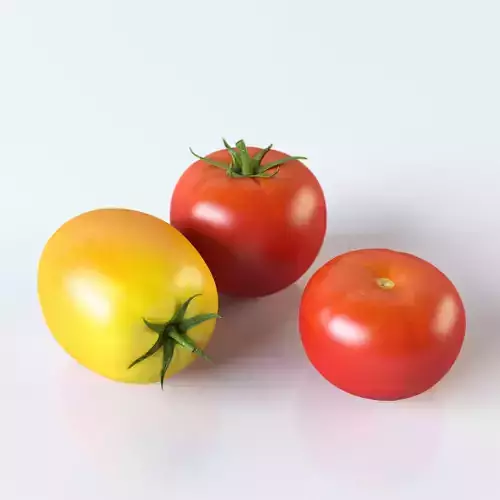 Tomatoes three 3D model