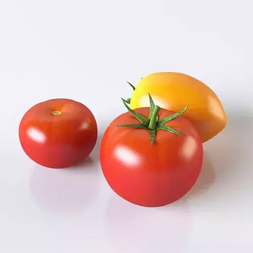 Tomatoes three 3D model 5