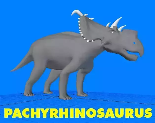 Pachyrhinosaurus Dinosaur