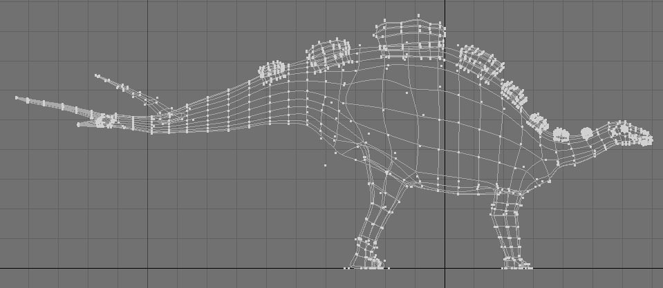 Wuerhosaurus Dinosaur 3D model_7