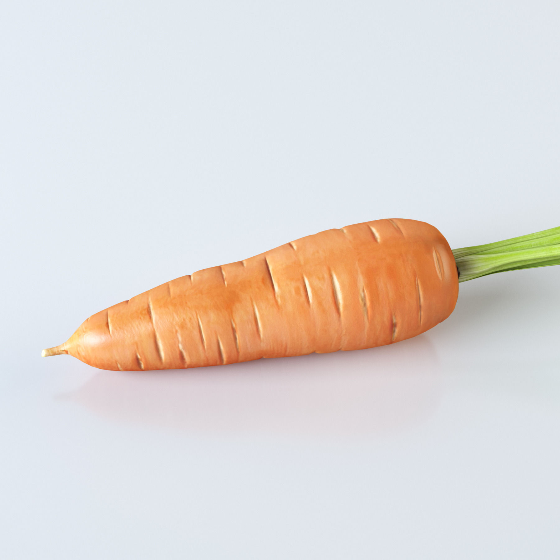 Carrot 3D model_6
