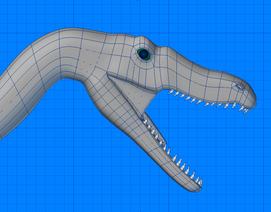 Velociraptor Dinosaur 3D model_6