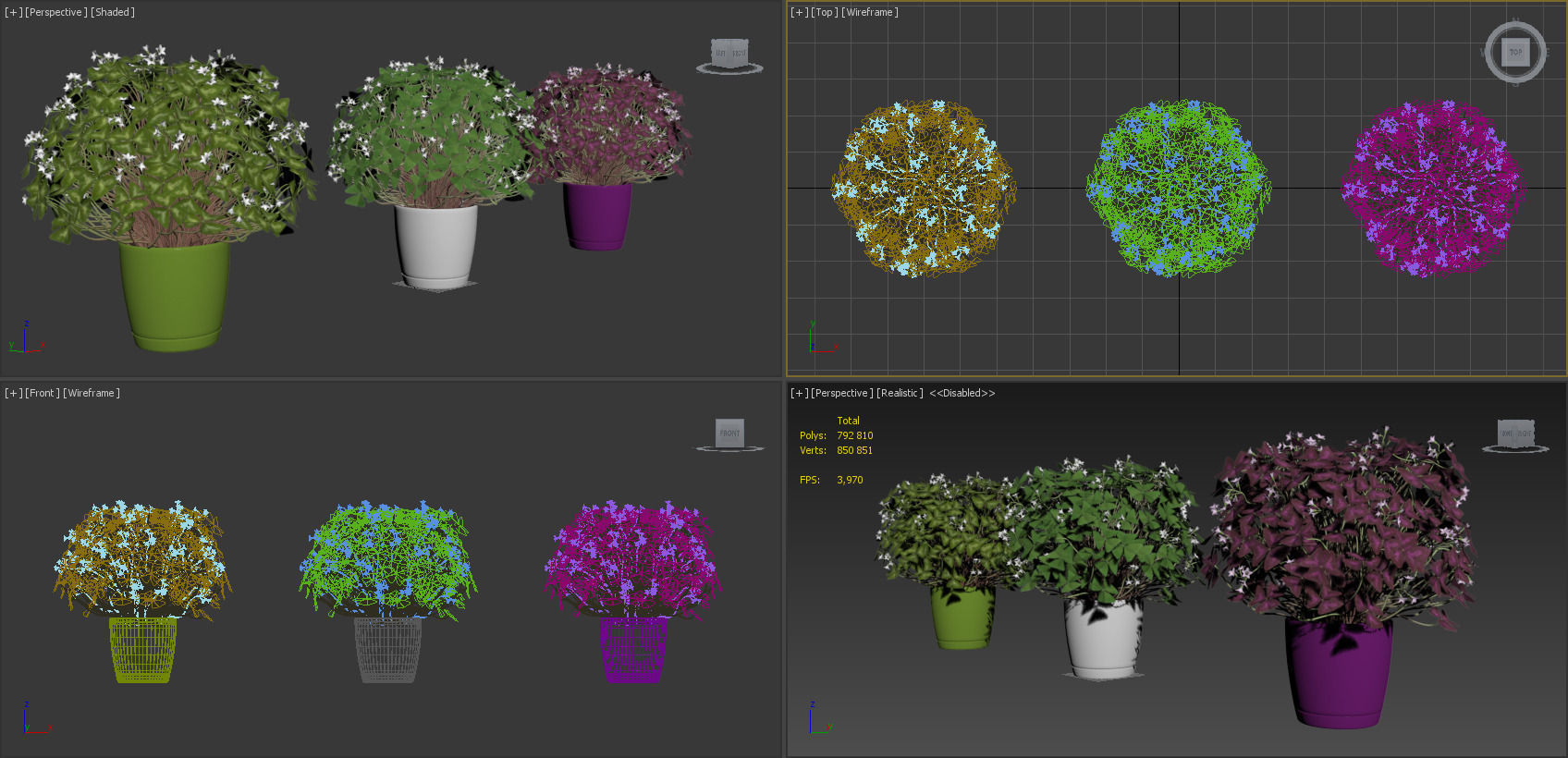 Oxalis triangularis 3 in 1 3D model_5