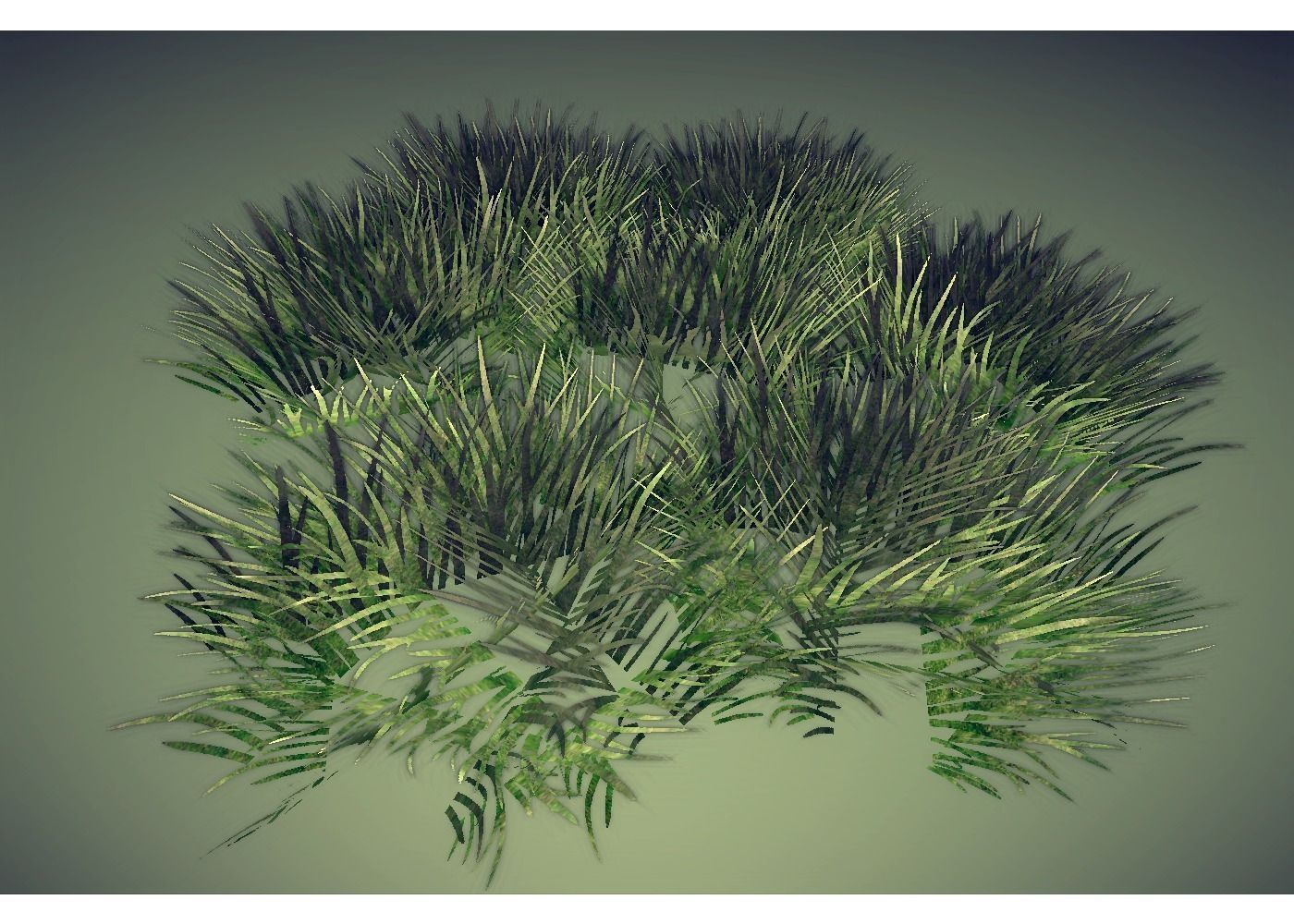 grass Low-poly 3D model_3