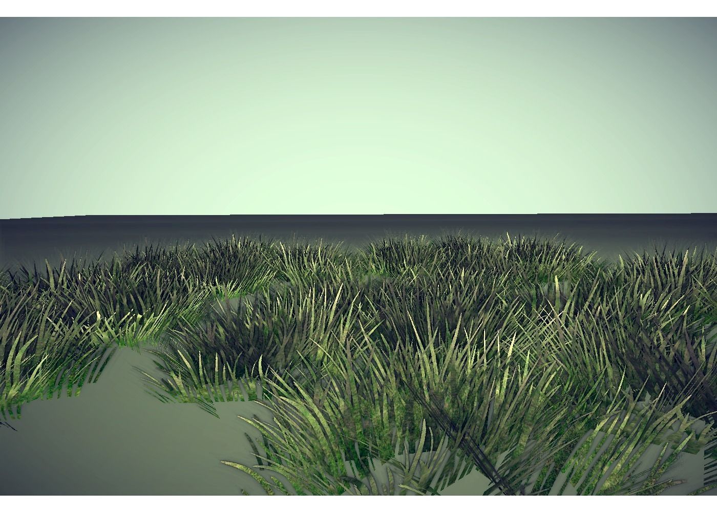 grass Low-poly 3D model_1