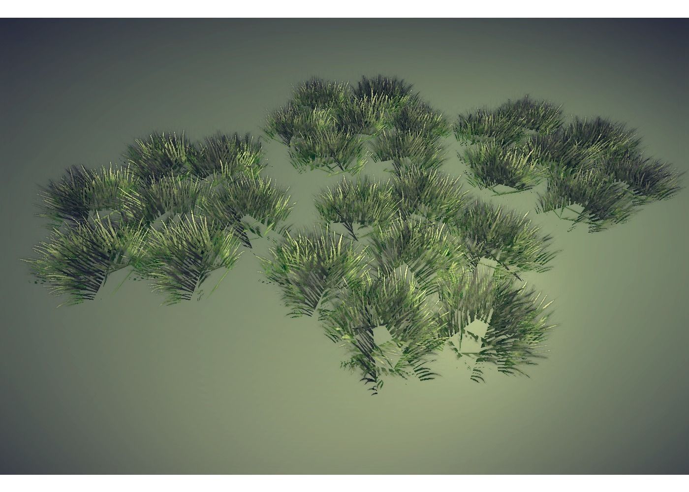 grass Low-poly 3D model_0