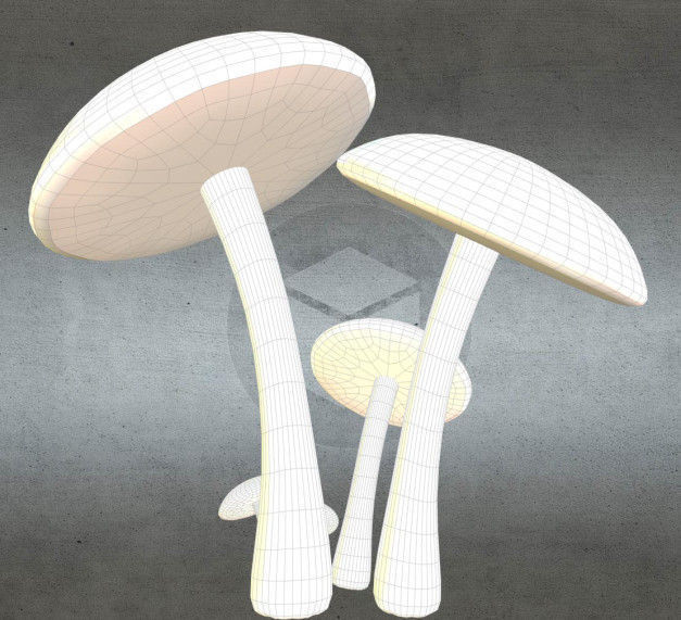 Mushrooms three in woods Low-poly 3D model_17