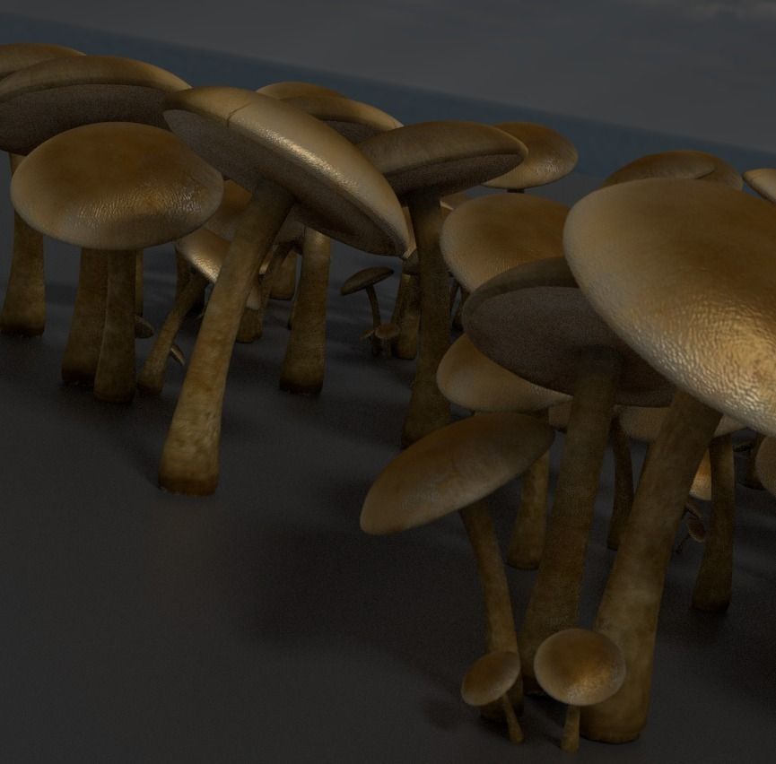 Mushrooms three in woods Low-poly 3D model_29
