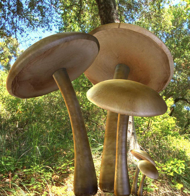 Mushrooms three in woods Low-poly 3D model_12