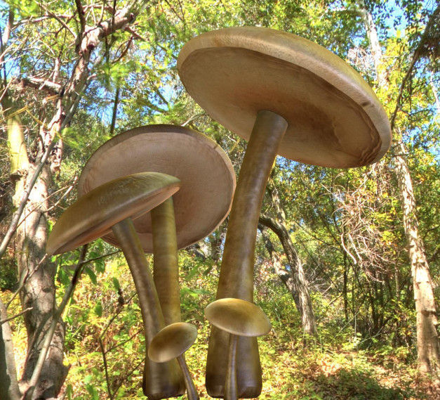 Mushrooms three in woods Low-poly 3D model_3