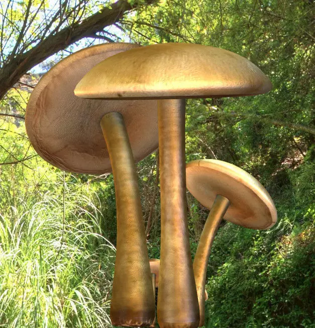 Mushrooms three in woods Low-poly 3D model_0