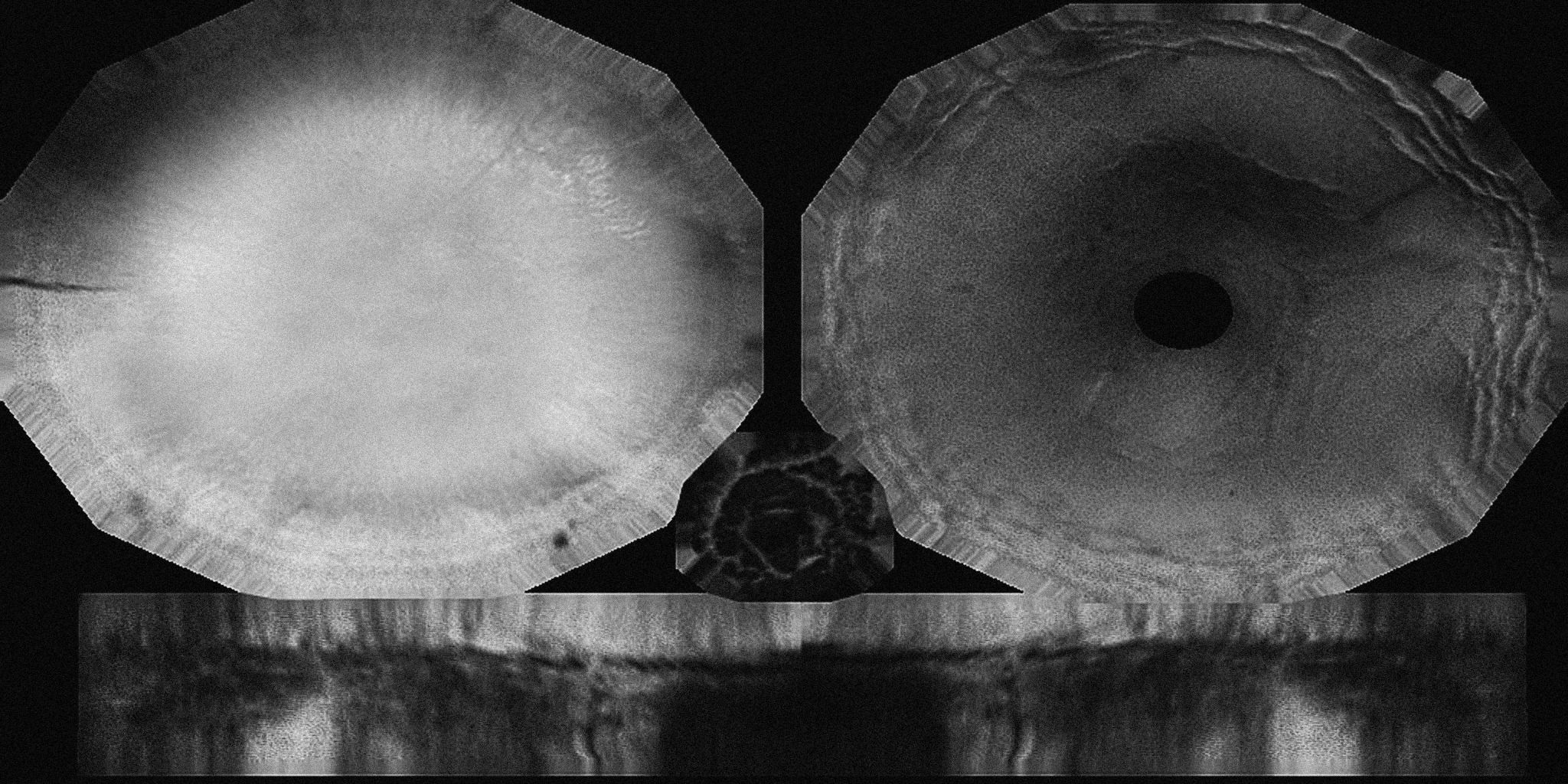 Mushrooms three in woods Low-poly 3D model_19