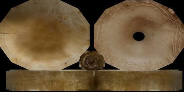 Mushrooms three in woods Low-poly 3D model_34