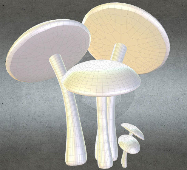 Mushrooms three in woods Low-poly 3D model_14