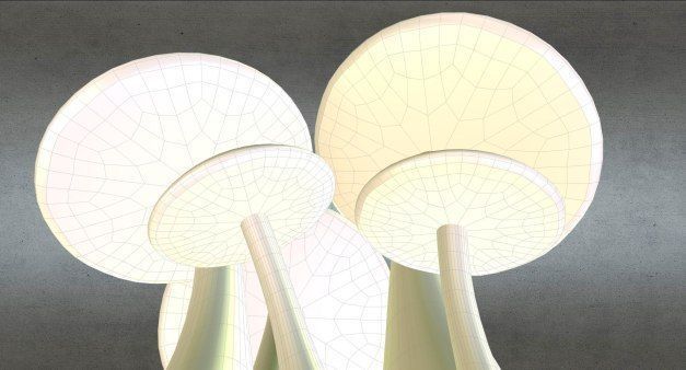 Mushrooms three in woods Low-poly 3D model_16