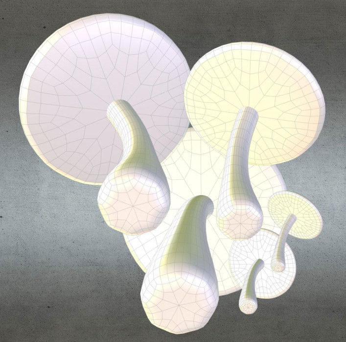 Mushrooms three in woods Low-poly 3D model_15