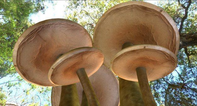 Mushrooms three in woods Low-poly 3D model_4