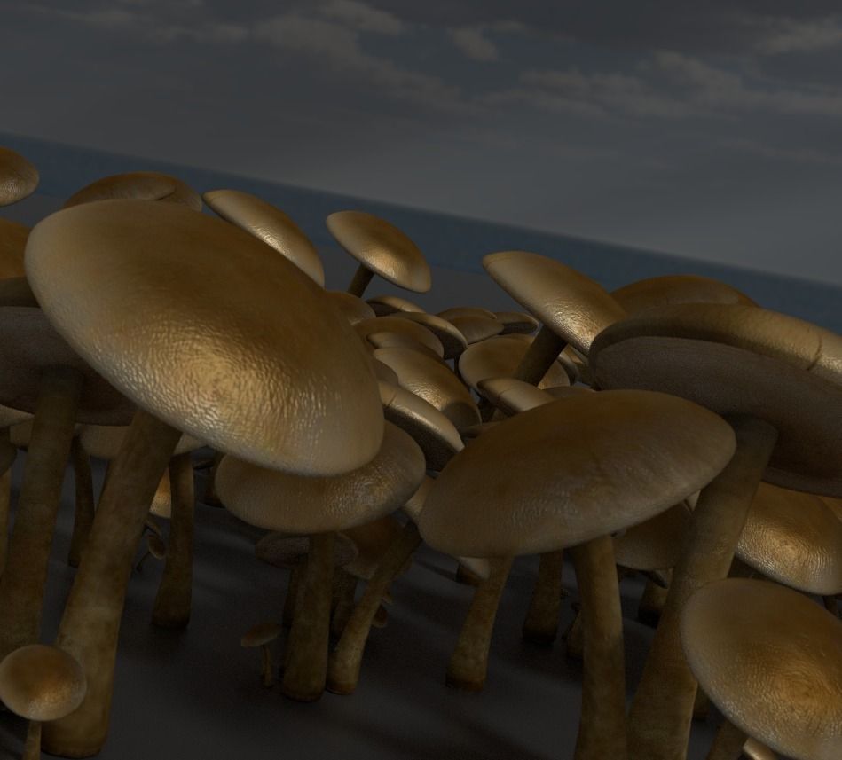 Mushrooms three in woods Low-poly 3D model_30