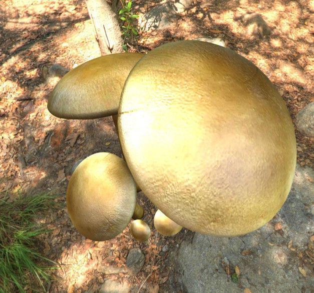 Mushrooms three in woods Low-poly 3D model_32