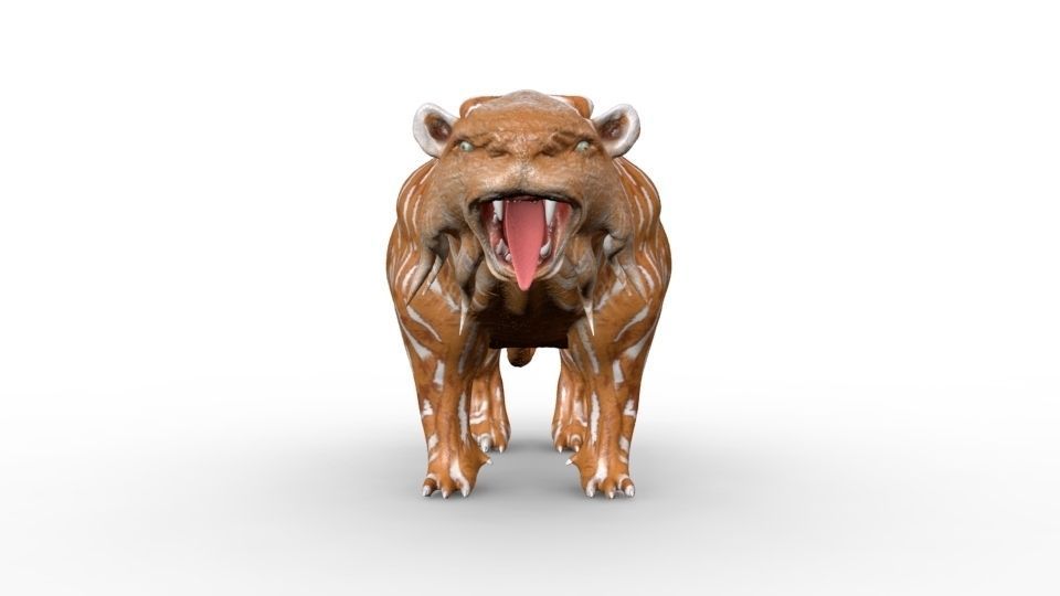 hunting tiger Free 3D model_4
