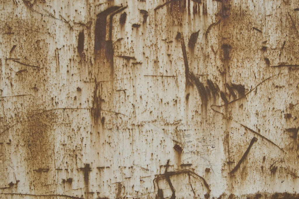 hunting tiger Free 3D model_7