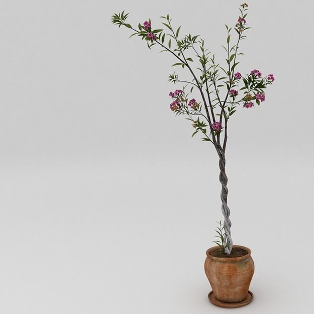 Exterior plant with vase Free 3D model