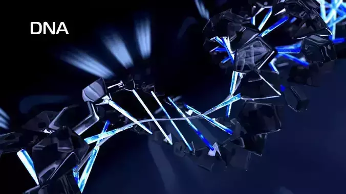 DNA animation 3d model 3D model