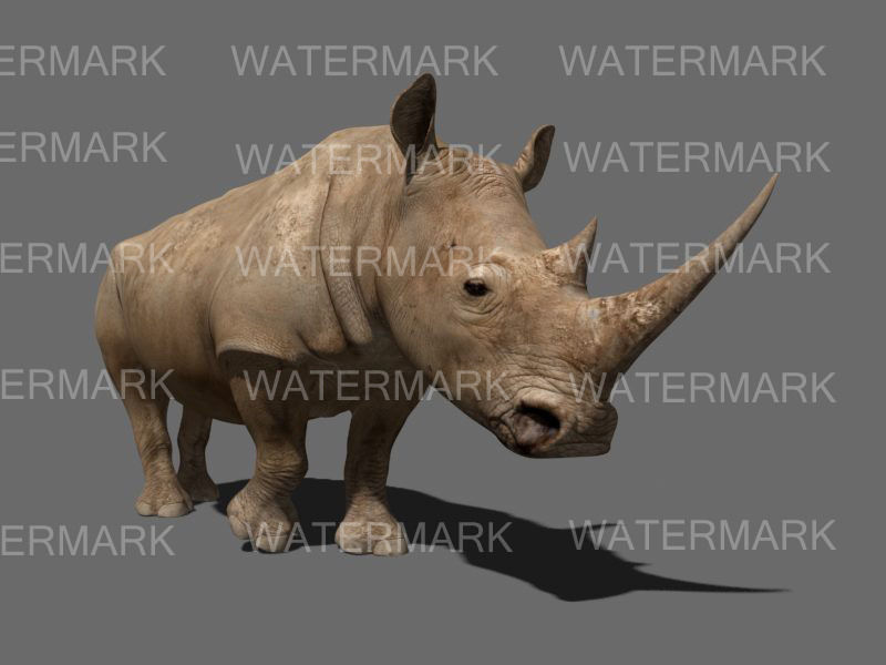 The Ultimate rhino - 3d rhinoceros model 3D model_43