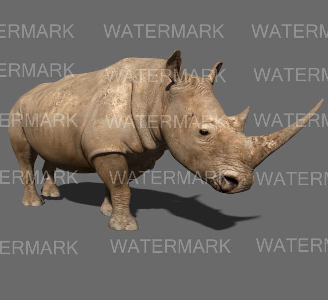 The Ultimate rhino - 3d rhinoceros model 3D model_40