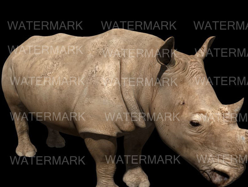 The Ultimate rhino - 3d rhinoceros model 3D model_9