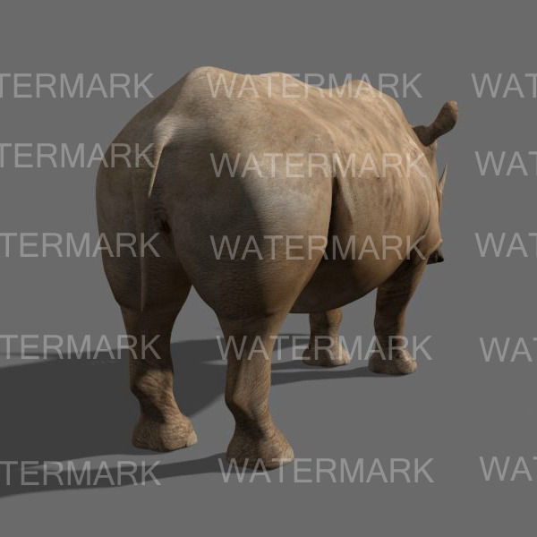 The Ultimate rhino - 3d rhinoceros model 3D model_25