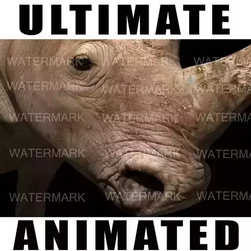 The Ultimate rhino - 3d rhinoceros model 3D model