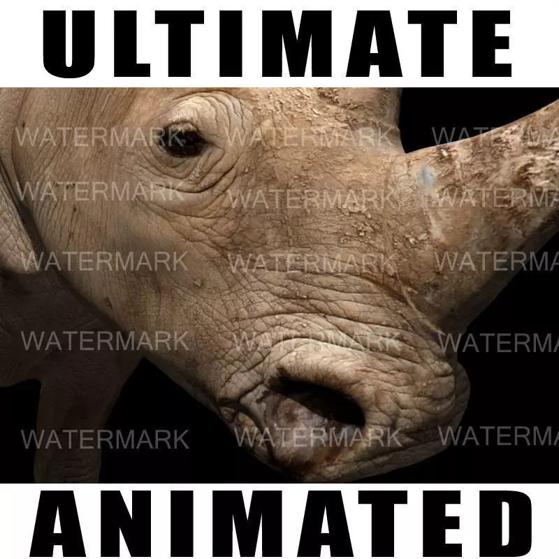 The Ultimate rhino - 3d rhinoceros model 3D model_0