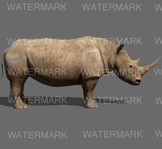 The Ultimate rhino - 3d rhinoceros model 3D model_13