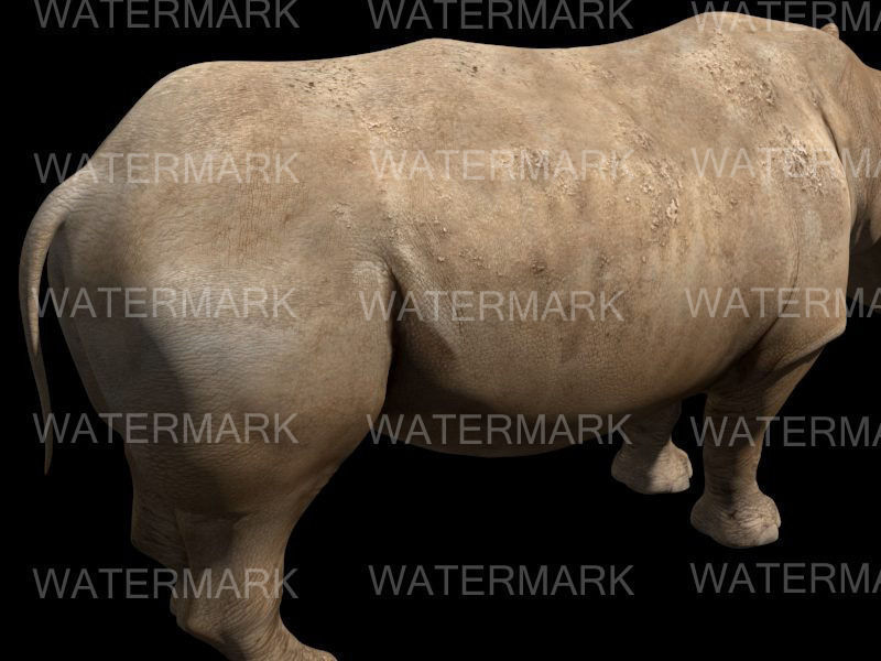 The Ultimate rhino - 3d rhinoceros model 3D model_14