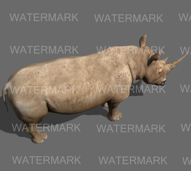 The Ultimate rhino - 3d rhinoceros model 3D model_12