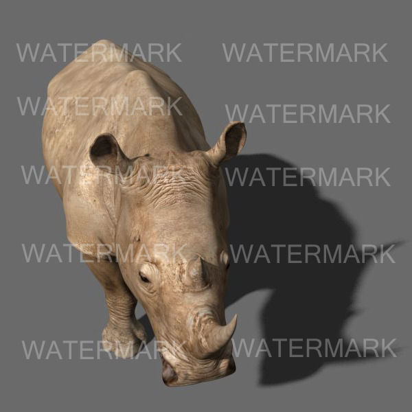 The Ultimate rhino - 3d rhinoceros model 3D model_30