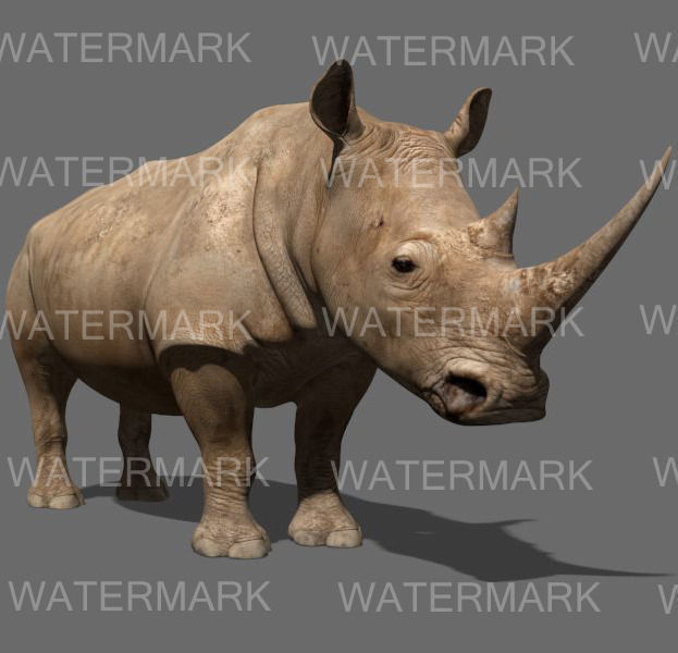 The Ultimate rhino - 3d rhinoceros model 3D model_17