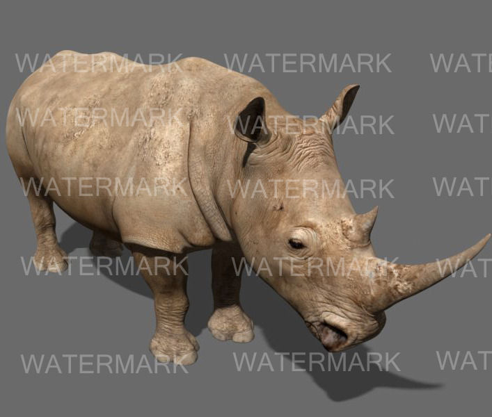 The Ultimate rhino - 3d rhinoceros model 3D model_18