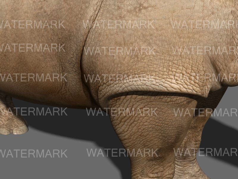 The Ultimate rhino - 3d rhinoceros model 3D model_29