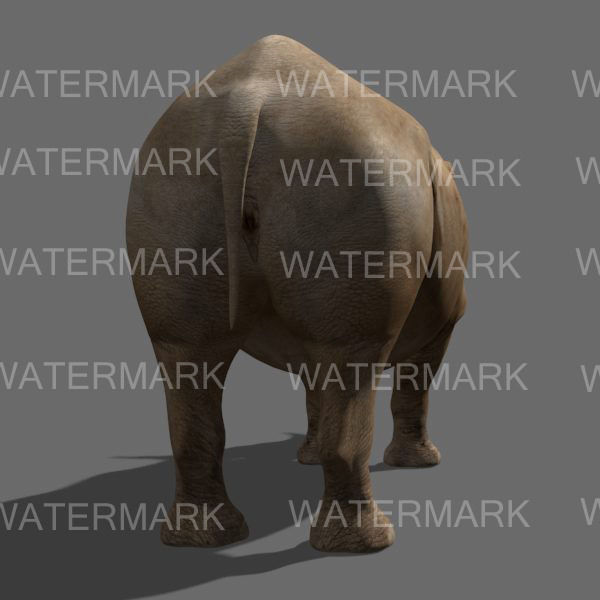 The Ultimate rhino - 3d rhinoceros model 3D model_21