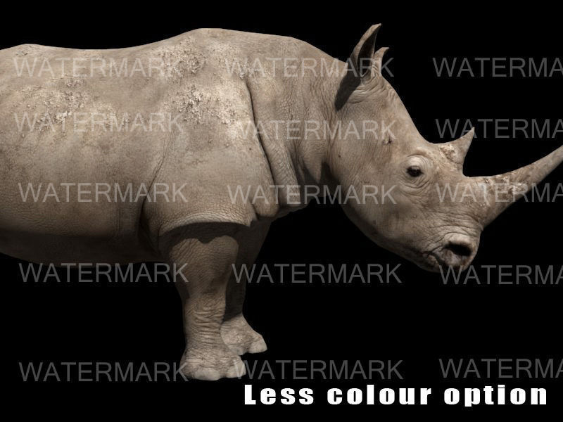The Ultimate rhino - 3d rhinoceros model 3D model_8