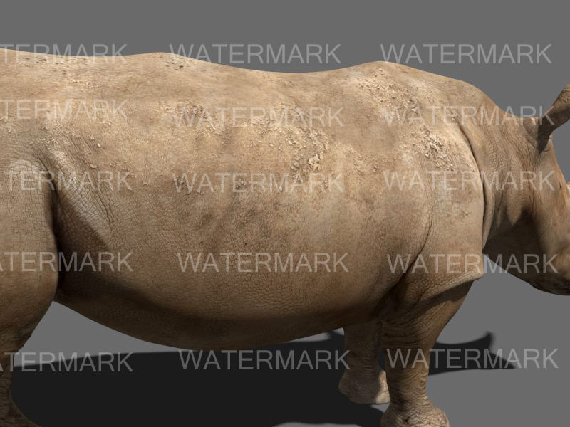 The Ultimate rhino - 3d rhinoceros model 3D model_42