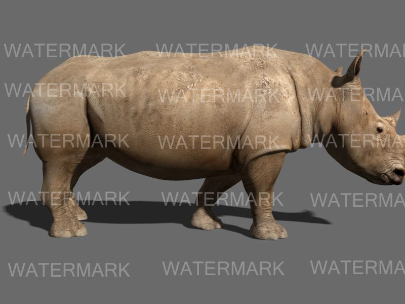 The Ultimate rhino - 3d rhinoceros model 3D model_39