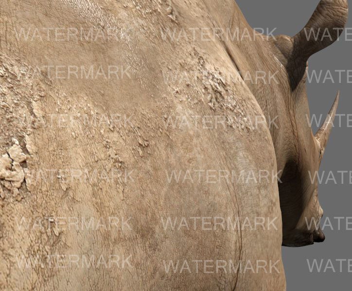 The Ultimate rhino - 3d rhinoceros model 3D model_23