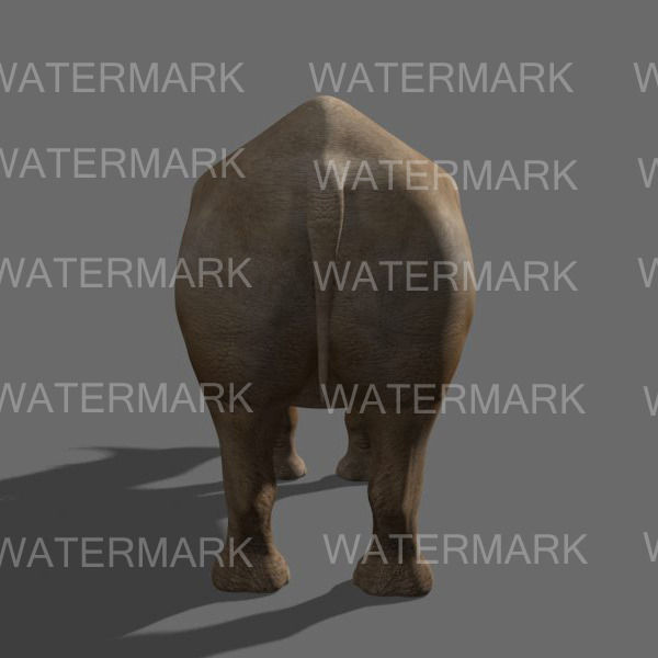 The Ultimate rhino - 3d rhinoceros model 3D model_26