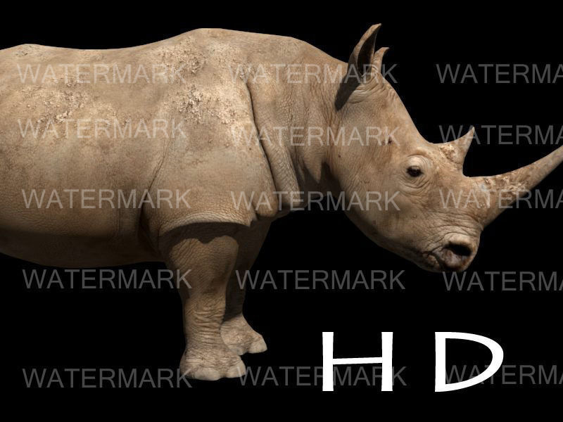 The Ultimate rhino - 3d rhinoceros model 3D model_7