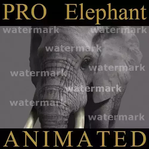 PRO Elephant Animated - 3d model 3D model